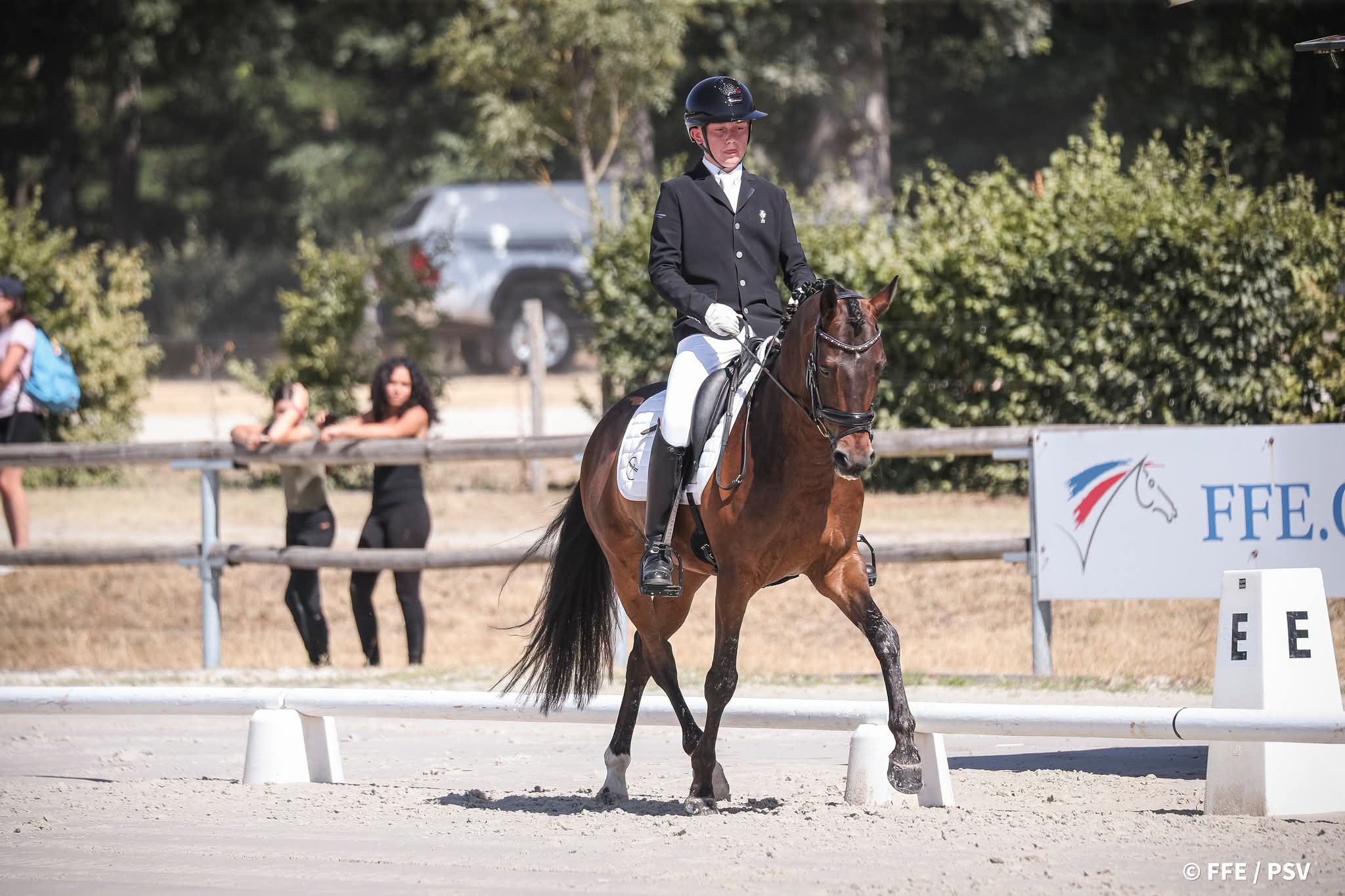 Bredenhof's Midnight – Welsh Part-Bred à vendre