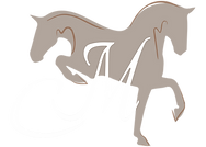 CM Horses Academy Training Qualiopi