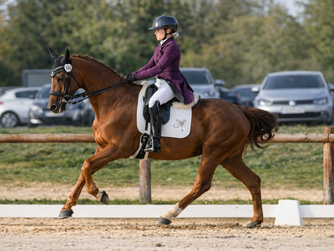 Les 5 critères à analyser avant de parler de prix en 2026