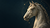 cmh-conservatoire-celeste-v1.png