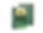 FOTR Transparent background 1