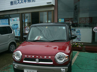 ハスラー