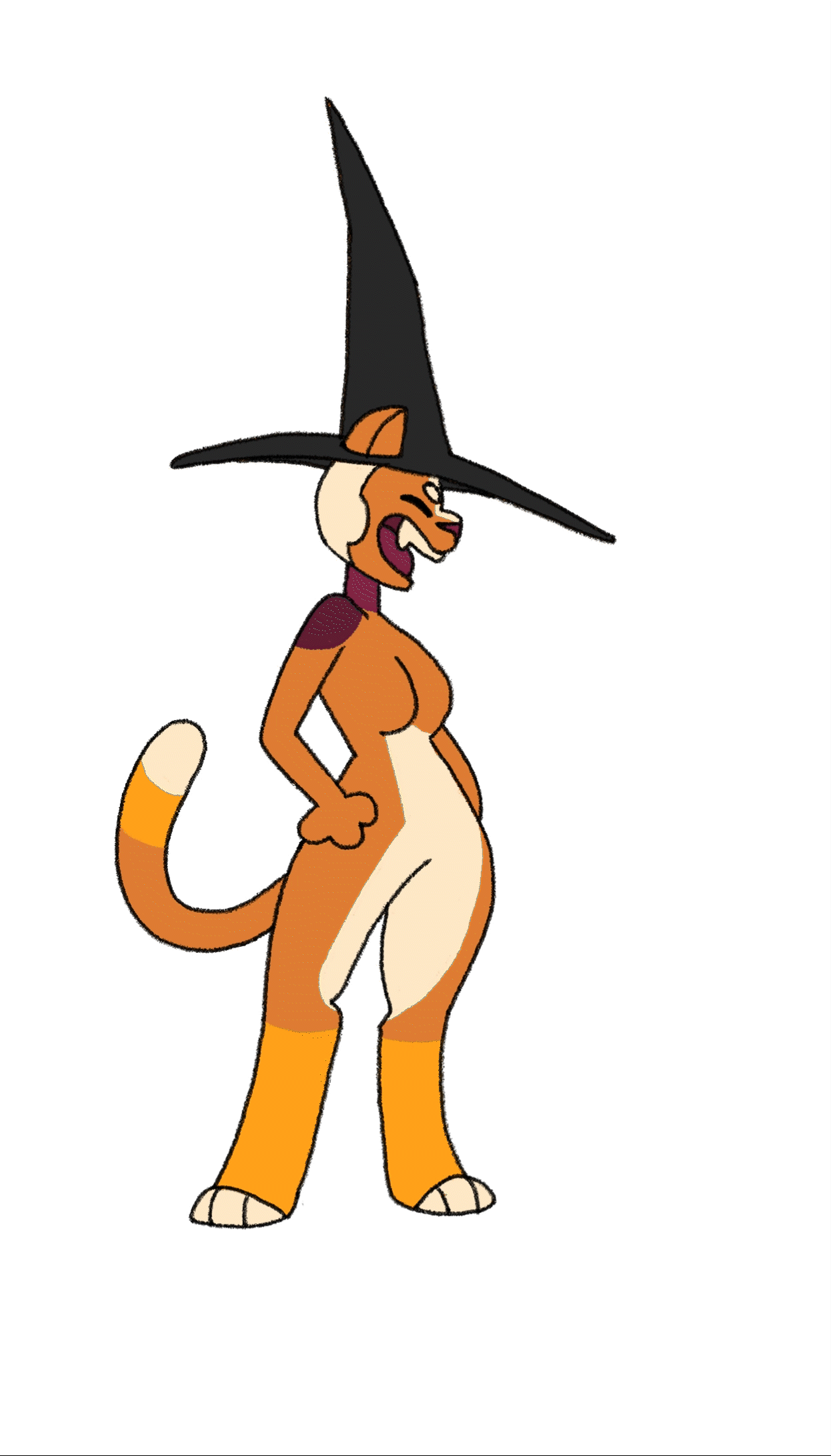 Cat whitch colour wearing outfityep 2.gif