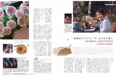 ニューローズタイアップ