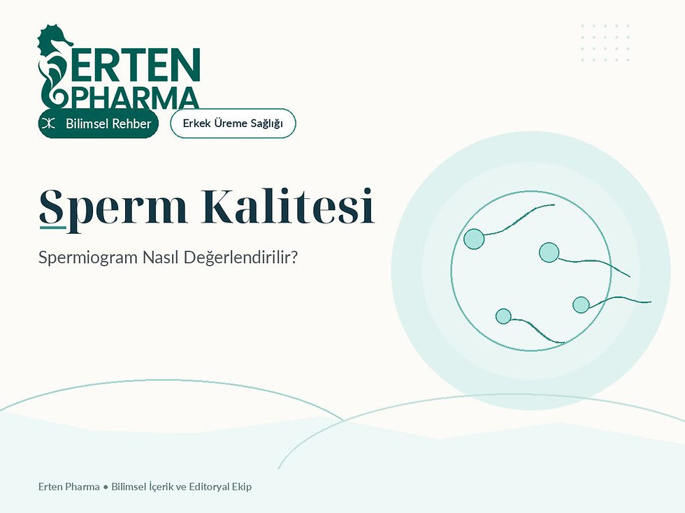 Erten Pharma sperm kalitesi ve spermiogram bilimsel rehberi kapağı