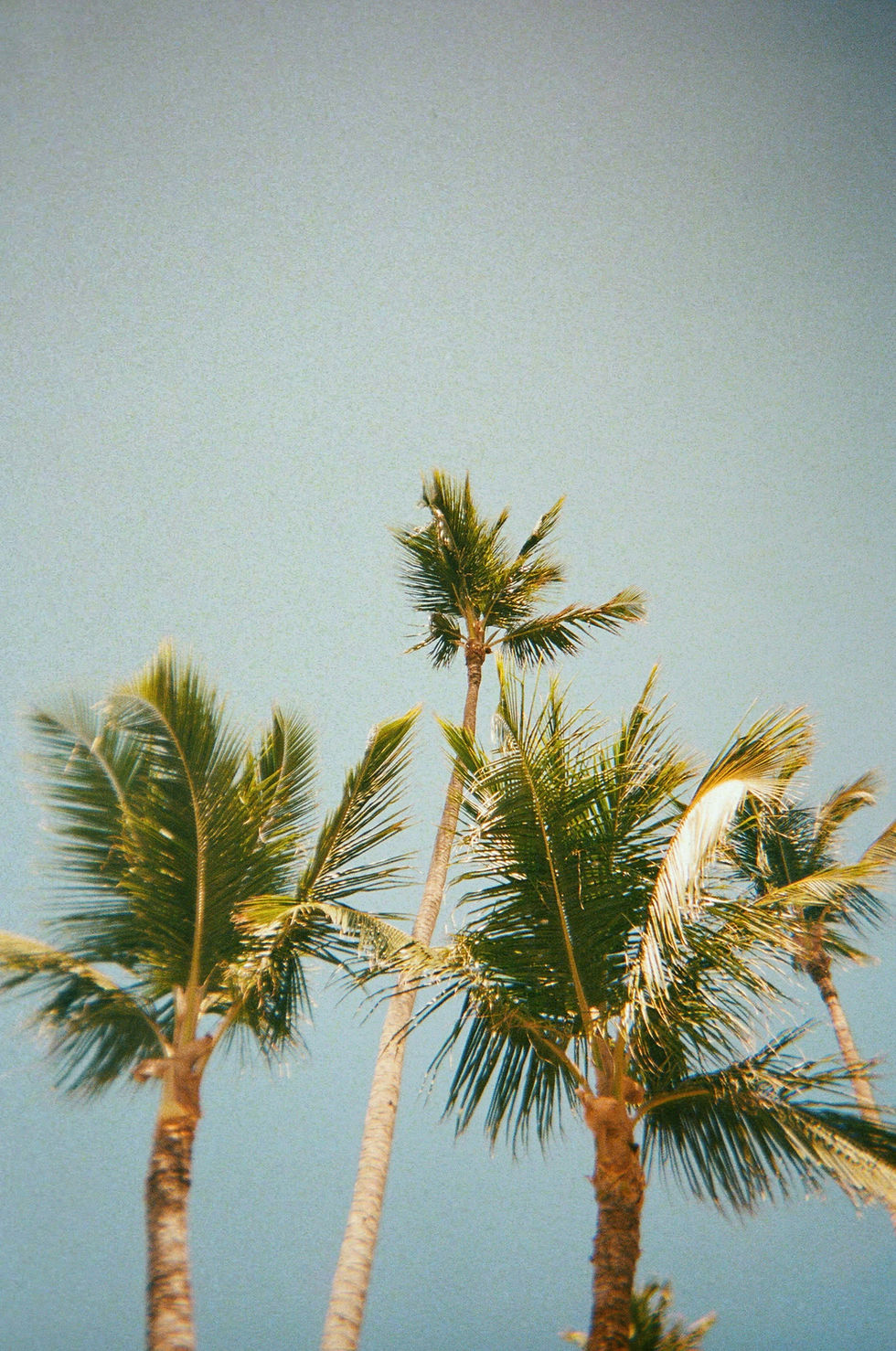 hans-isaacson-k2linFdaI9A-unsplash.jpg