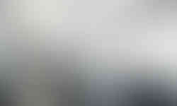 LED Suspended Up and Down Light | HONYA Lighting