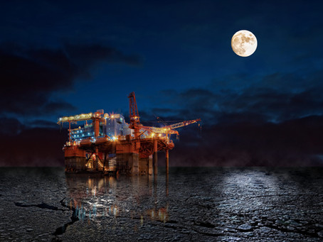 Maritime Winter Safety Guide; zero-emissions cruise ship; Seawing test; Contracts