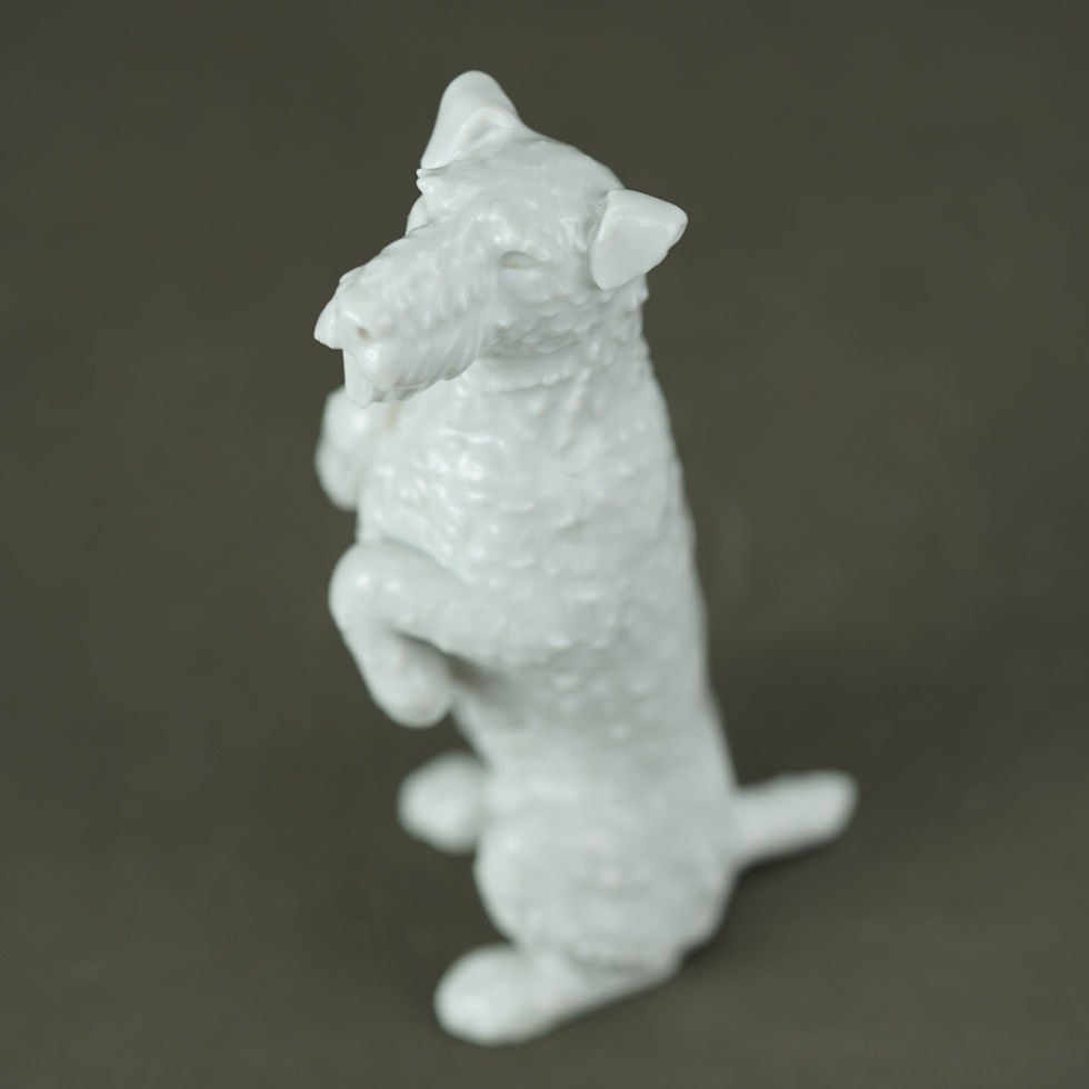 Miniatura: FIGURKA MIŚNIA MEISSEN TERRIER SIEDZĄCY NA DWÓCH ŁAPACH ANTYK PIĘKNA
