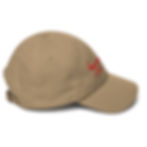 Thumbnail: Hebrew Cornell Hat