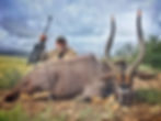 nyala hunting in africa