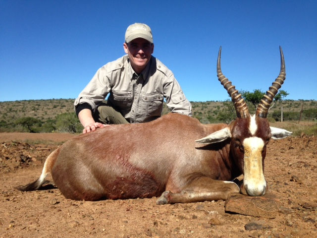 blesbuck hunting in south africa