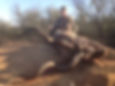 kudu hunting in africa