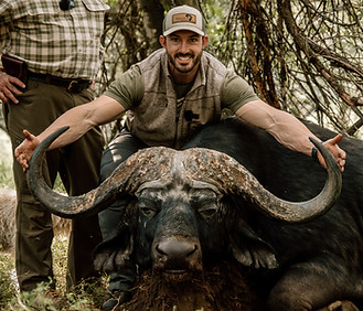 Tollies Buffalo