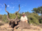 kudu hunting in africa