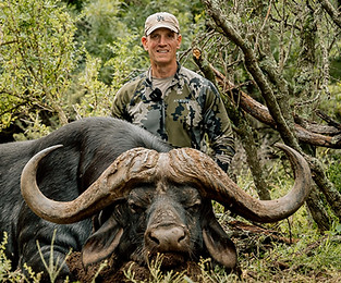 Tollies Buffalo