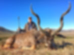 kudu hunting in africa
