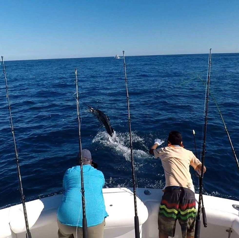 Thumbnail: $74.44 Deep Sea Fishing in Punta Cana