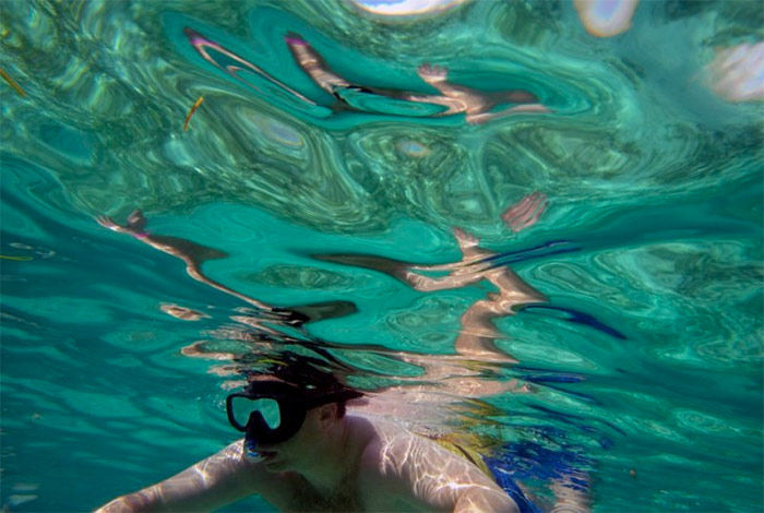 Thumbnail: Glass Bottom Boat & Snorkeling KIDS 12 & Under