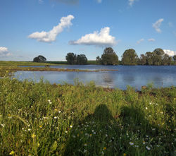IMG_20190417_202144_495