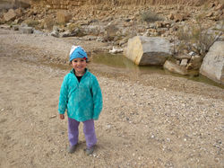 IMG_20190216_140424
