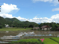 DSCN9052