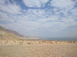 IMG_20190402_104230