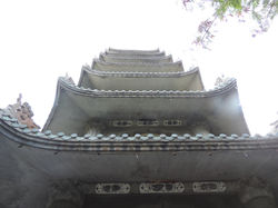 DSCN8332