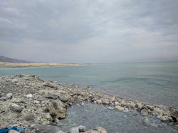 IMG_20190402_121021