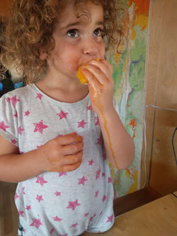 IMG_20190812_092914