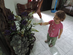 DSCN8738