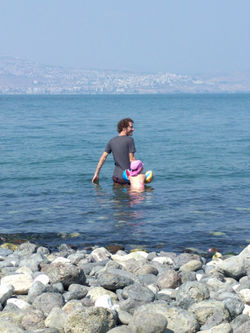 עין גב