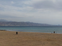 IMG_20190120_134704