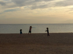 IMG_20190123_162411