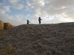 IMG_20190114_161538