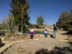 IMG_20190201_124550