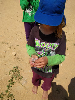 IMG_20190320_120805
