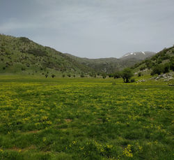 IMG_20190430_164729_590