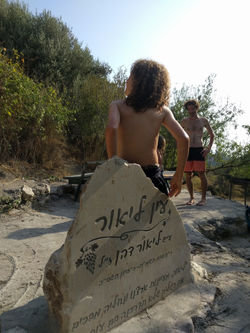עין ליאור