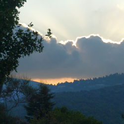 IMG_20190907_211810_238