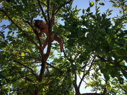 IMG_20190706_155851