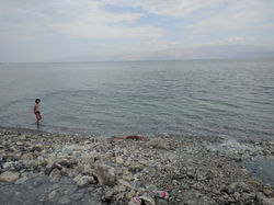 IMG_20190402_120108