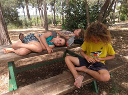 IMG_20190603_145238