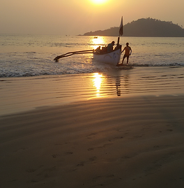 INDIA 2015-16