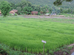 DSCN9018