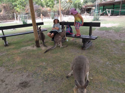 IMG_20190613_110442