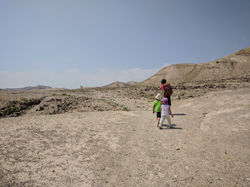 IMG_20190403_124835