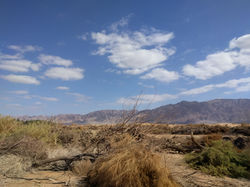 IMG_20190117_114743