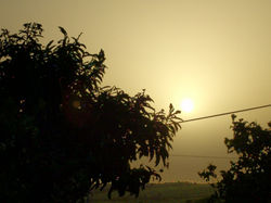 IMG_20190407_183648