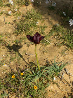 IMG_20190306_104935